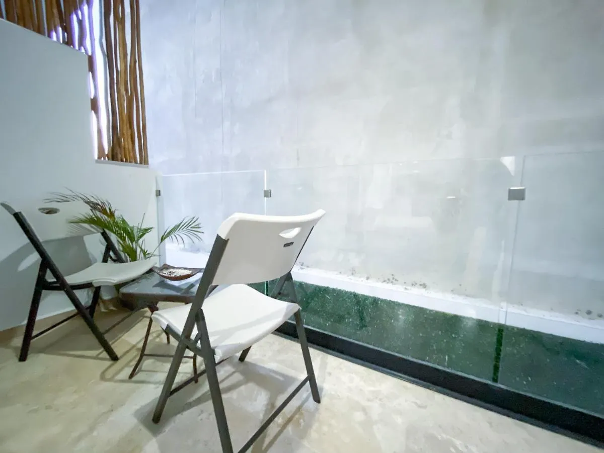 Estudio106 Centrico En Menesse38 Con Roof Apartment Playa del Carmen